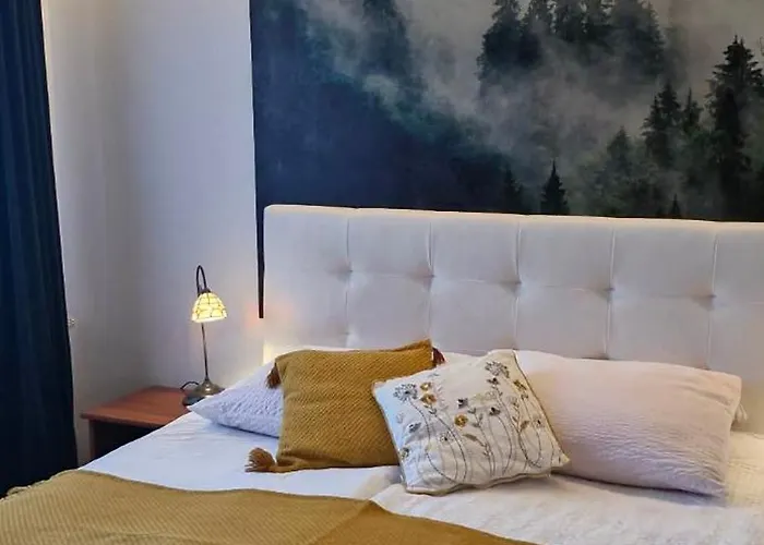 Apartament11 Brzozowa 5minut Krupówki, garaż